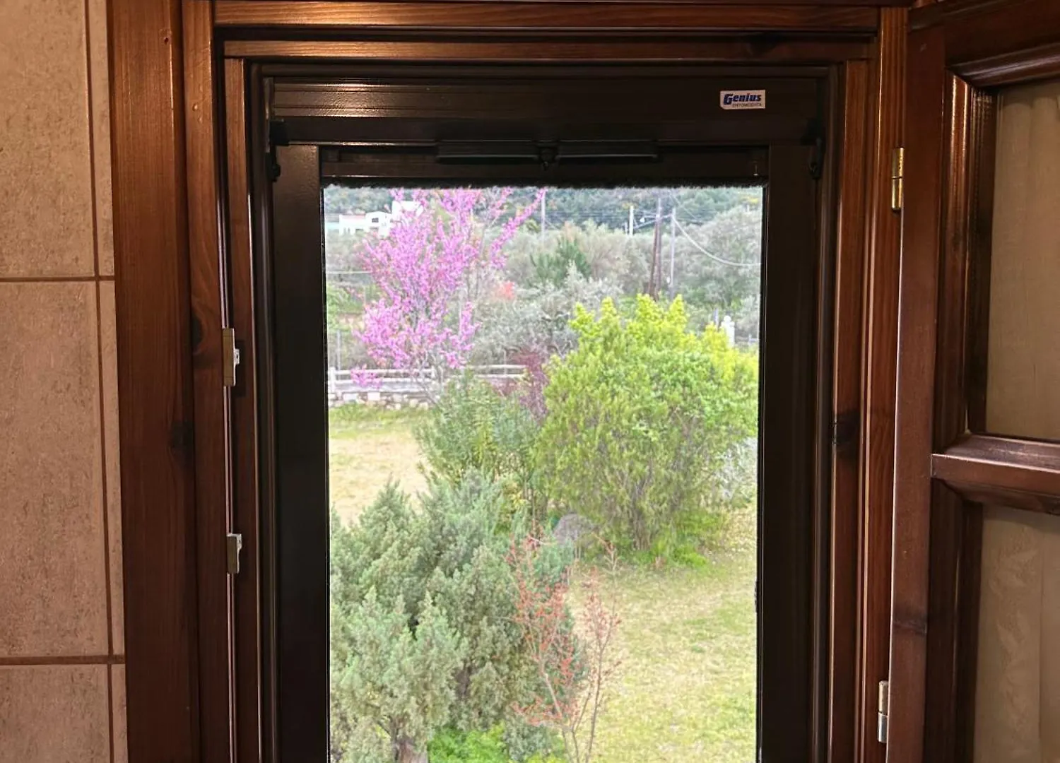 Ta Petrina Apartment Vourvourou